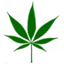 Greenhealthdocs